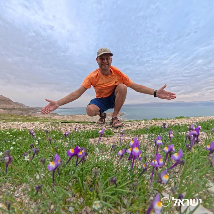 פשתנית ססגונית ליד ים המלח