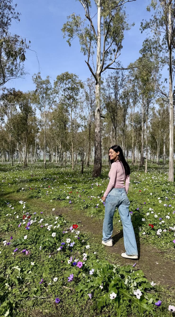 פריחת כלניות