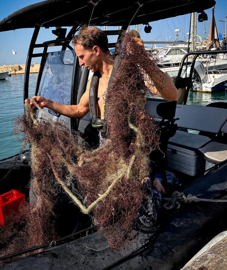הסרת רשת רפאים בסלע אנדרומדה, נובמבר 2025