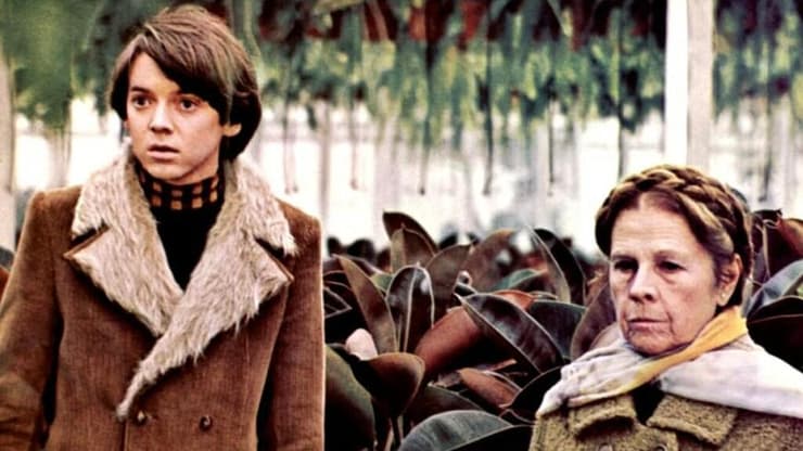 מתוך "הרולד ומוד"