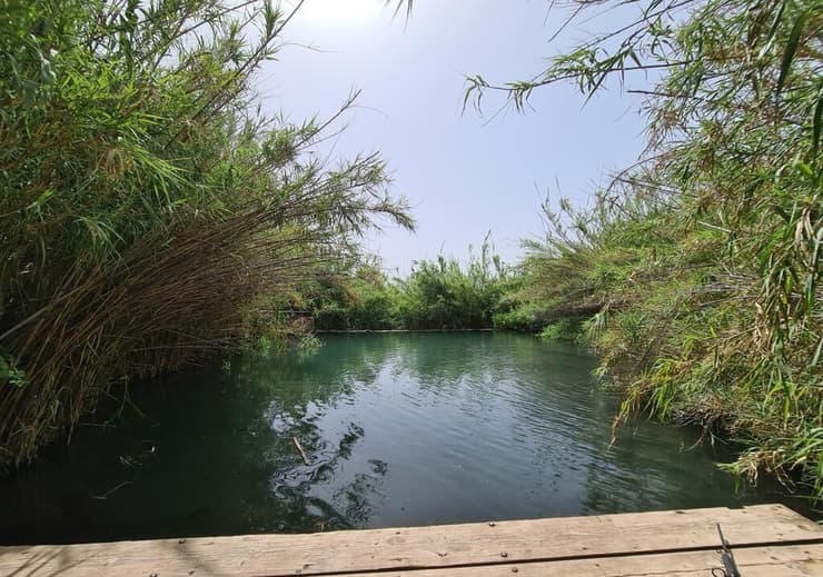 הספוט הסודי בגולן