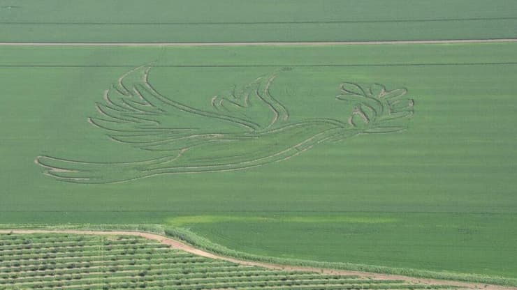 תיור שדות בשדות העמק שיצר פיטר וינר
