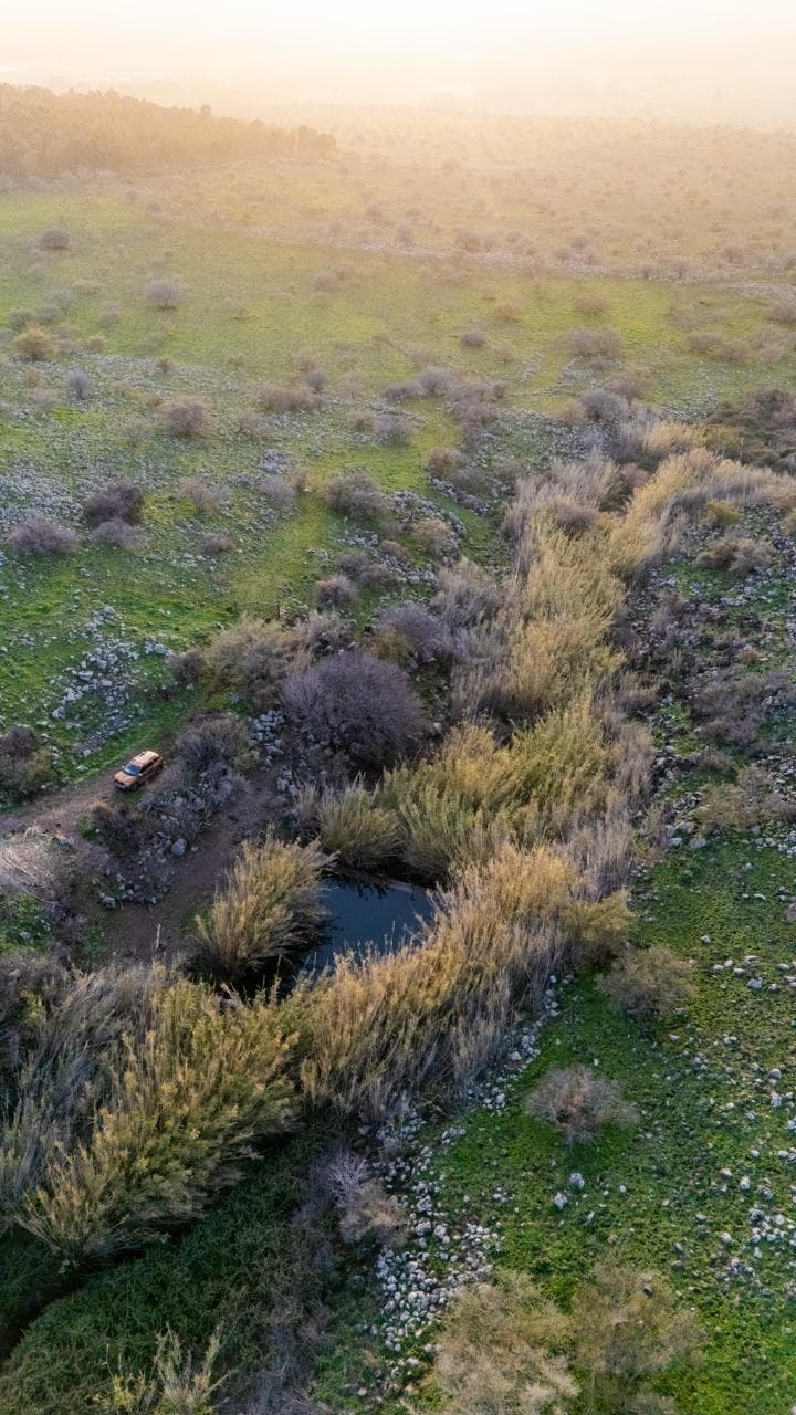הספוט הסודי בגולן