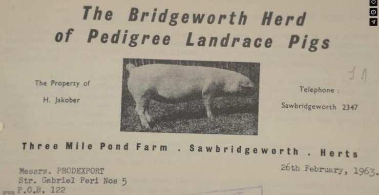 אחד המסמכים בארכיון