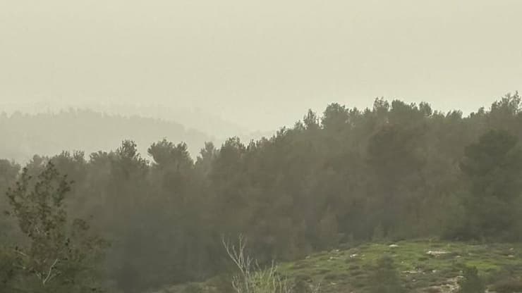 הרי ירושלים נצבעו בלבן מאבק