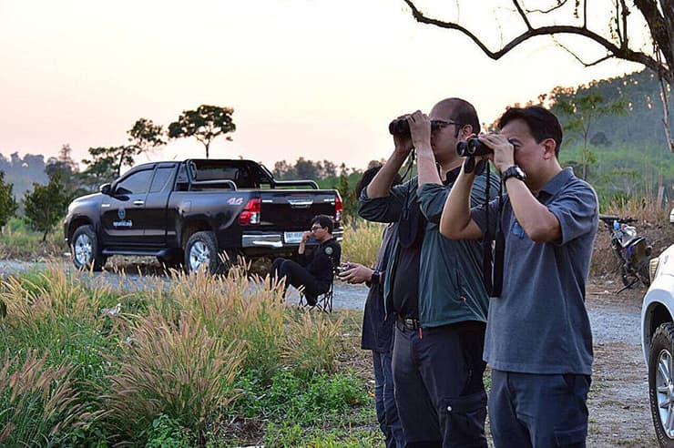 מעקב של הרשויות אחר פילות שקיבלו חיסון למניעת היריון במחוז טראט שבמזרח תאילנד