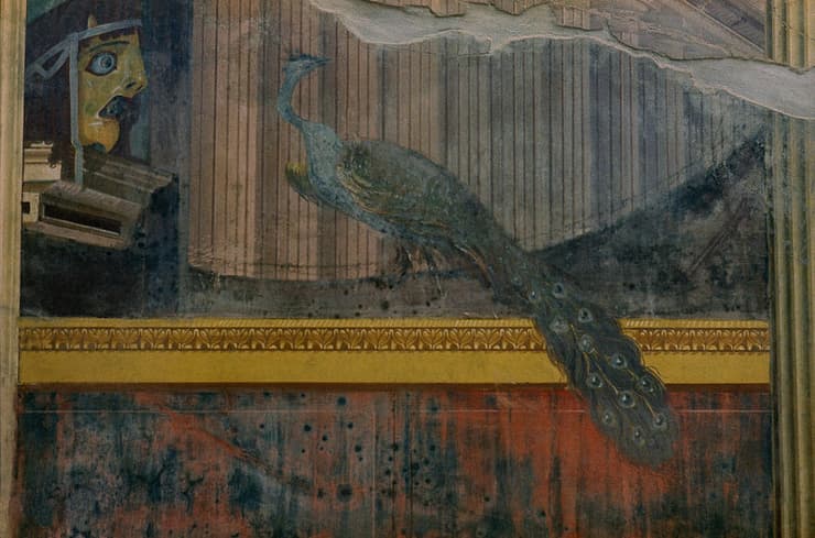 טווס שנחשף בשטח האתר הארכאולוגי אופלונטיס