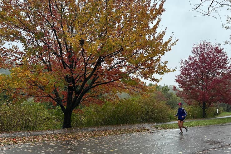 שלכת בבוסטון, מסצ'וסטס
