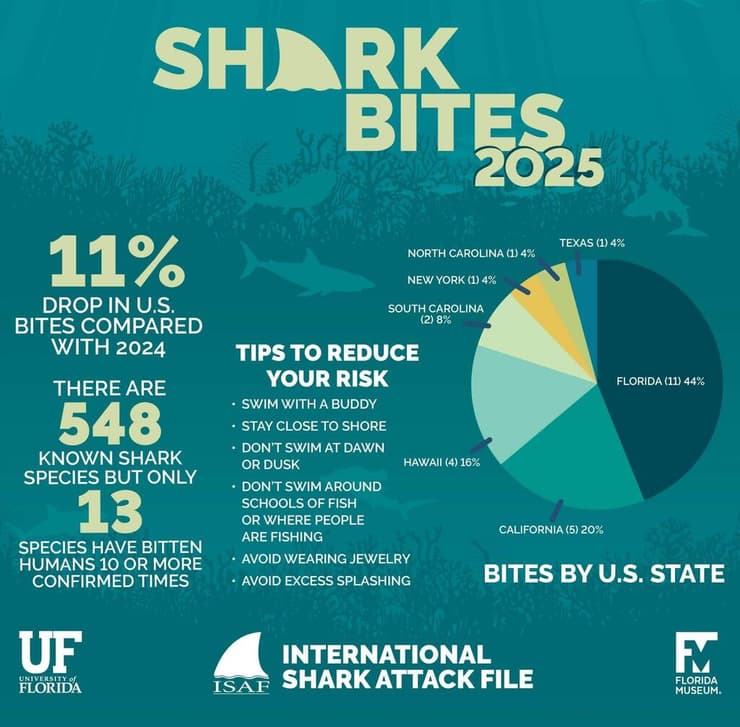 מגמת נשיכות כרישים אשתקד