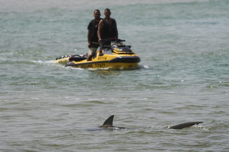 החיפושים אחרי גופתו של ברק צח ז"ל, שננשך למוות על ידי כריש עפרורי מול חופי חדרה בחודש אפריל אשתקד