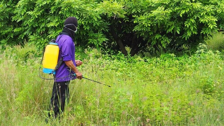 קוטל עשבים ראונדאפ (Roundup) מתוצרת באייר