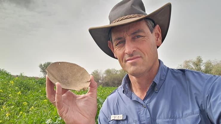 ד"ר אחיה כהן-תבור