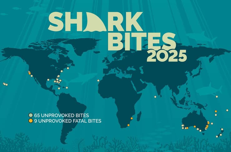 מגמת נשיכות כרישים אשתקד