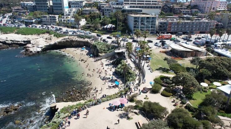 לה הויה קוב 