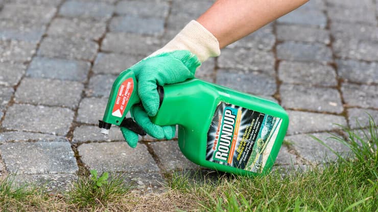 קוטל עשבים ראונדאפ (Roundup) מתוצרת באייר