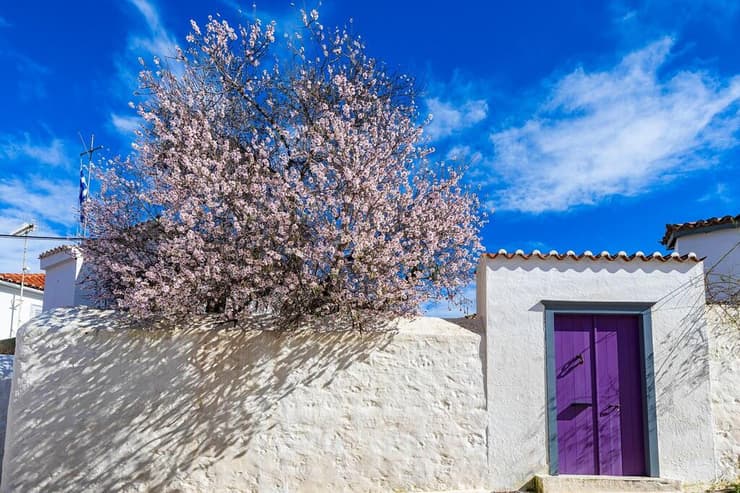 הקסם היווני (צילום: אמיר ירחי) טיול לאי היווני הכי שקט שיש