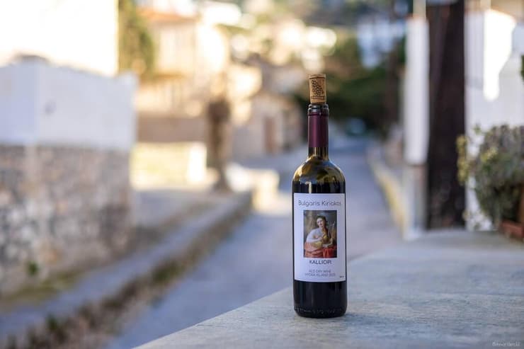 היין מהיקב המשפחתי (צילום: אמיר ירחי) טיול לאי היווני הכי שקט שיש