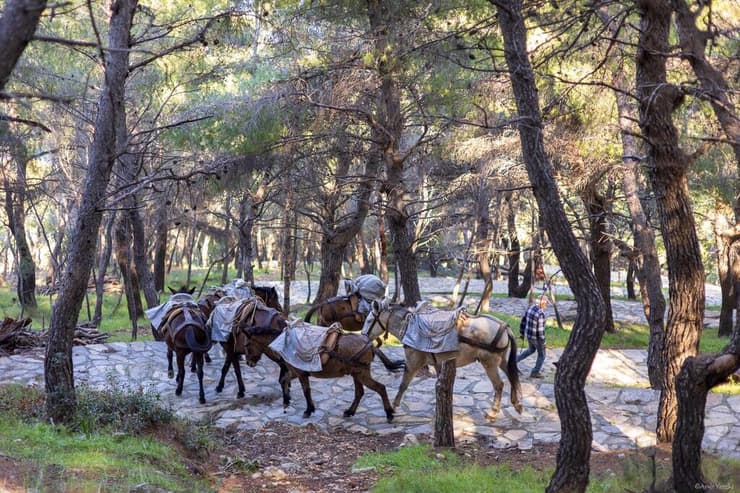 צילום: אמיר ירחי טיול לאי היווני הכי שקט שיש