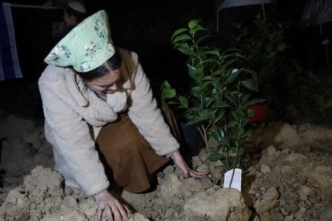 לימור סון הר מלך בנטיעות על אדמת עזה של תנועת נחלה