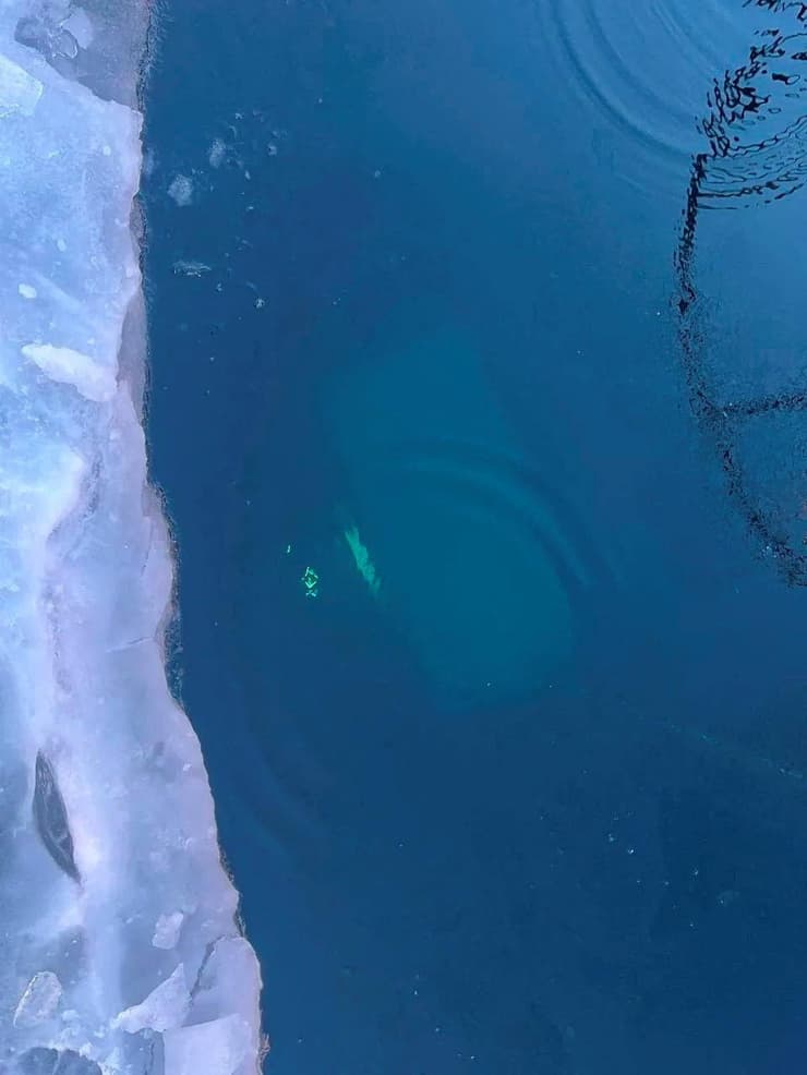 רוסיה מאמצי חילוץ אוטובוס תיירים אגם בייקל העמוק בעולם