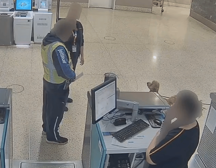 הכלב ג'ט בלו קשור לעמדת הבידוק בנמל התעופה הבין-לאומי הארי ריד (צילום: Las Vegas Metropolitan Police Department) הכלב ג'ט בלו קשור לעמדת הבידוק בנמל התעופה הבין-לאומי הארי ריד