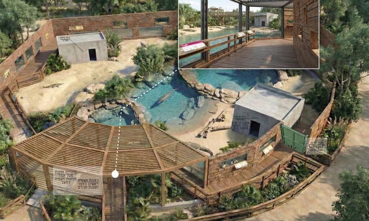 המתחם החדש של התנינים