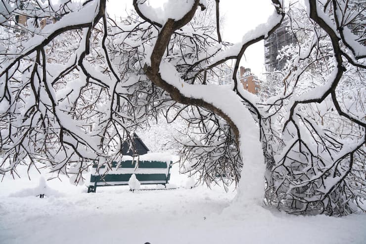 שלג בניו יורק