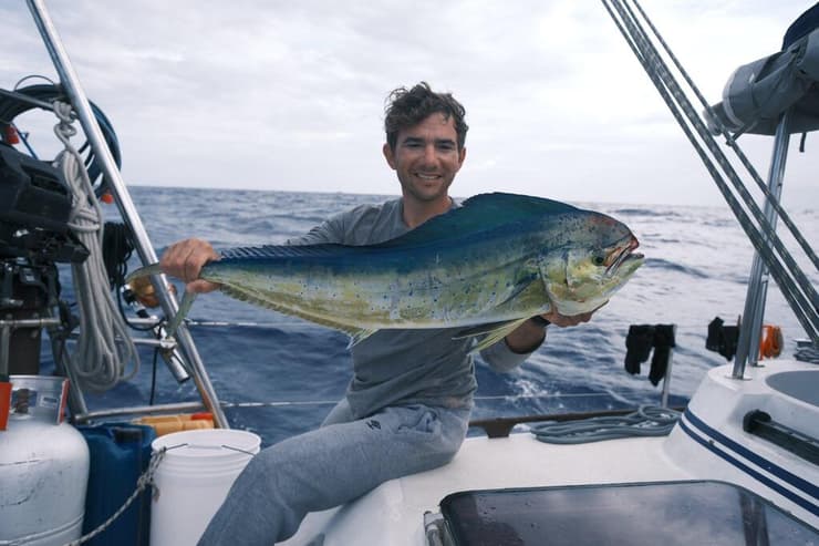 דניאל פינסקי 