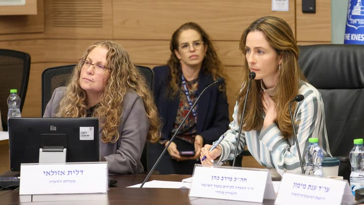 "התגלו ליקויים משמעותיים בטיפול וביחס לנפגעות ולנפגעי עבירות מין". ח"כ כהן (צילום: דני שם טוב דוברות הכנסת) הוועדה לקידום מעמד האישה ולשוויון מגדרי