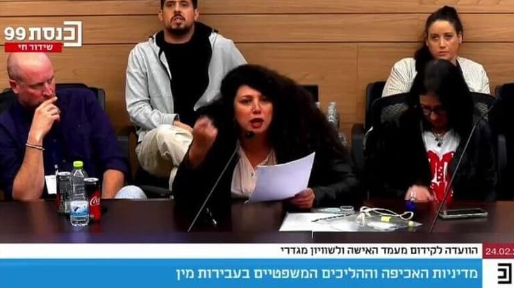 שי לי עטרי בדיון בוועדה (צילום: ערוץ הכנסת) שי לי עטרי בועדה לקידום מעמד האישה ולשוויון מגדרי