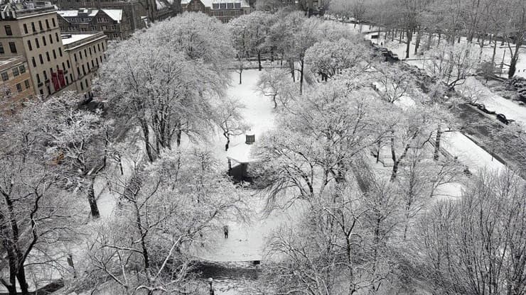 שלג בניו יורק