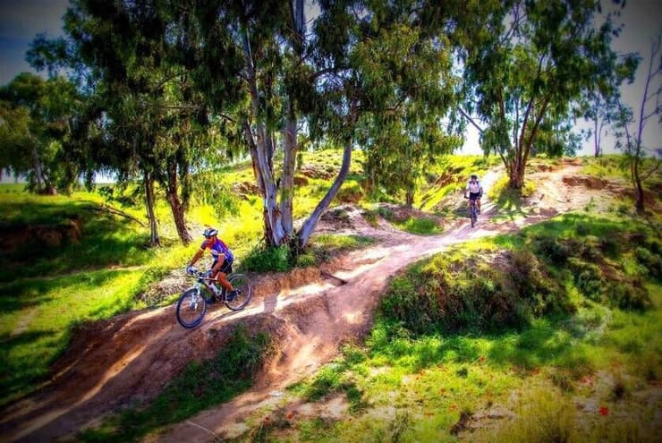 סינגל בארי - שוב פתוח לציבור (צילום: אילן שחם, ארכיון הצילומים של קק"ל) סינגל בארי