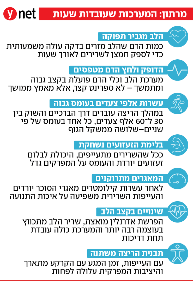 אינפו מערכות הוגף שעובדות בזמן מרתון