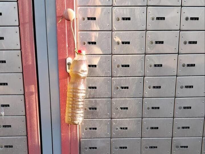 הפרוטקשן בגליל העליון - בקבוק בנזין באליפלט