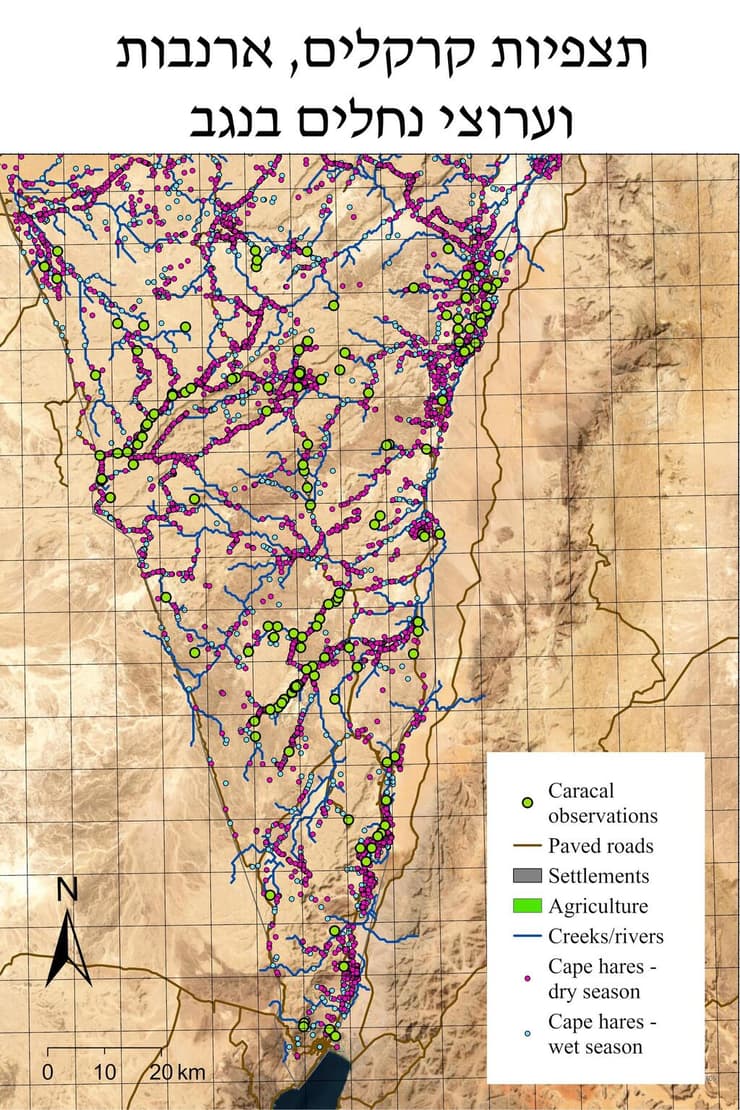 מפת הקרקלים