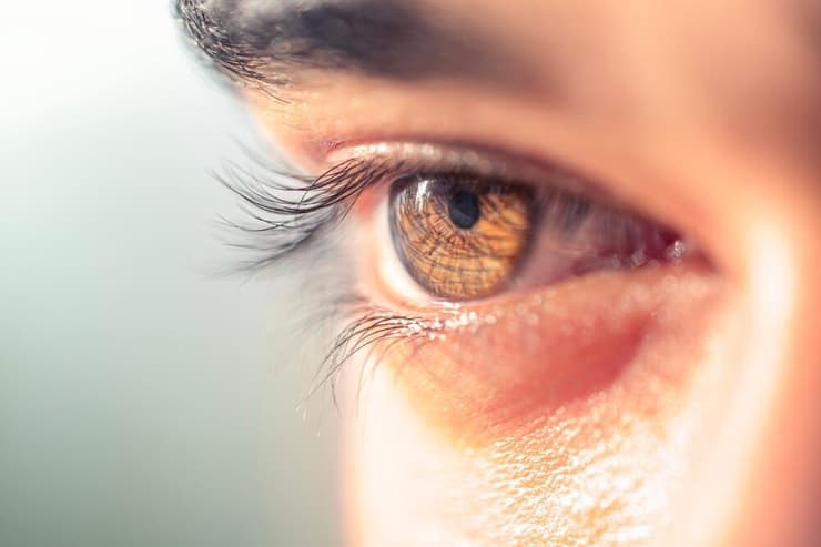 העין האנושית (צילום: Bhatakta Manav/Shutterstock) העין האנושית