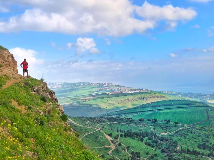תצפית מושלמת