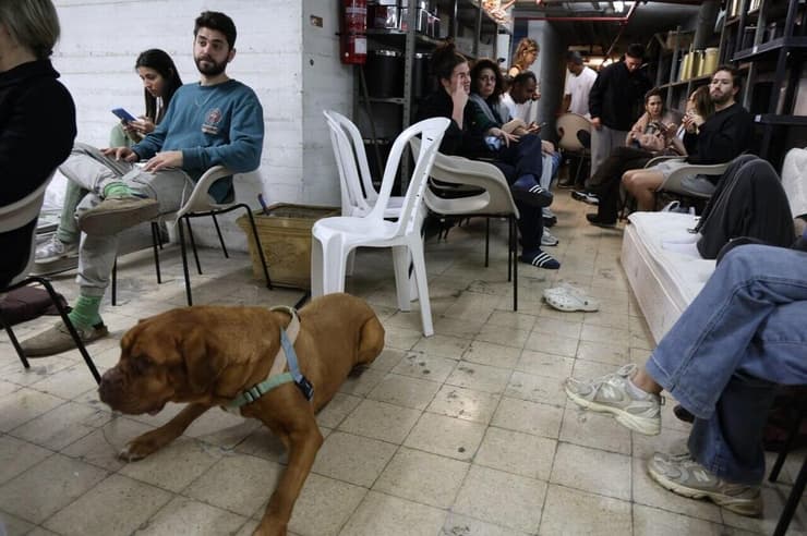 צילום: יריב כץ מפונים במלון בובו בתל אביב