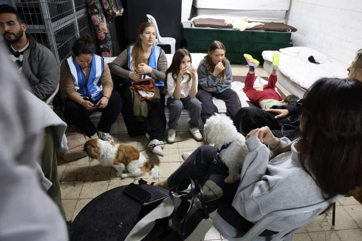 צילום: יריב כץ מפונים במלון בובו בתל אביב