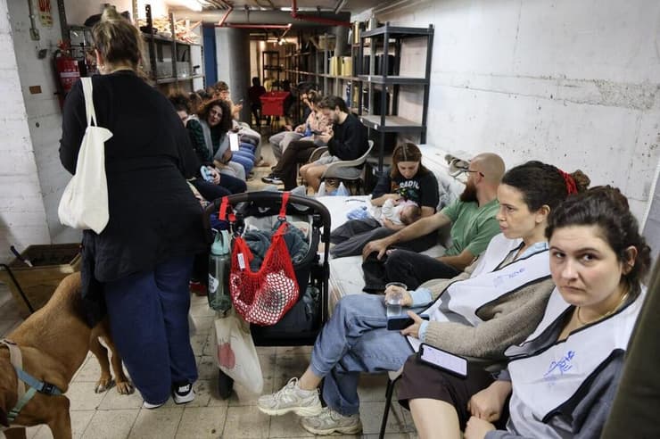 מפונים במלון בובו בתל אביב (צילום: יריב כץ) מפונים במלון בובו בתל אביב