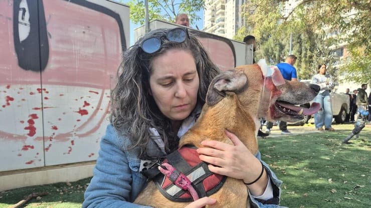 קרולינה עם הכלב של אמה בבניין שנפגע בבאר שבע ( צילום: אילנה קוריאל) קרולינה, אימה גרה בבניין שנפגע