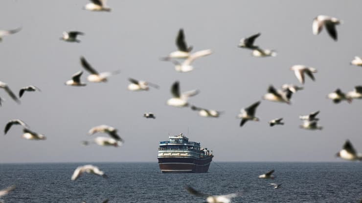 ציפורים עפות ב מיצרי הורמוז