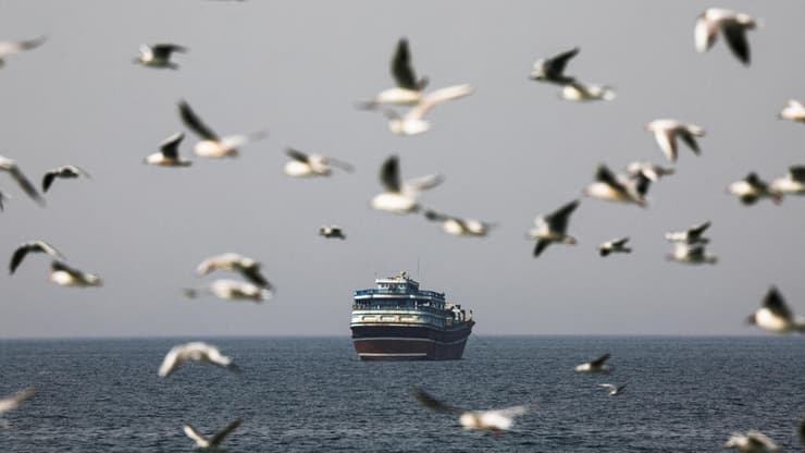 מצר הורמוז (צילום: REUTERS/Amr Alfiky) ציפורים עפות ב מיצרי הורמוז