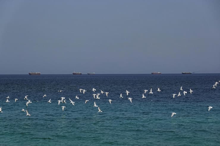 ציפורים עפות ב מיצרי הורמוז