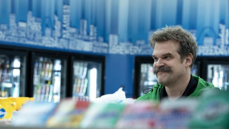 משחק נהדר שמצדיק את הצפייה. מתוך "DTF סנט לואיס" (Tina Rowden, HBO) מתוך "DTF סנט לואיס"