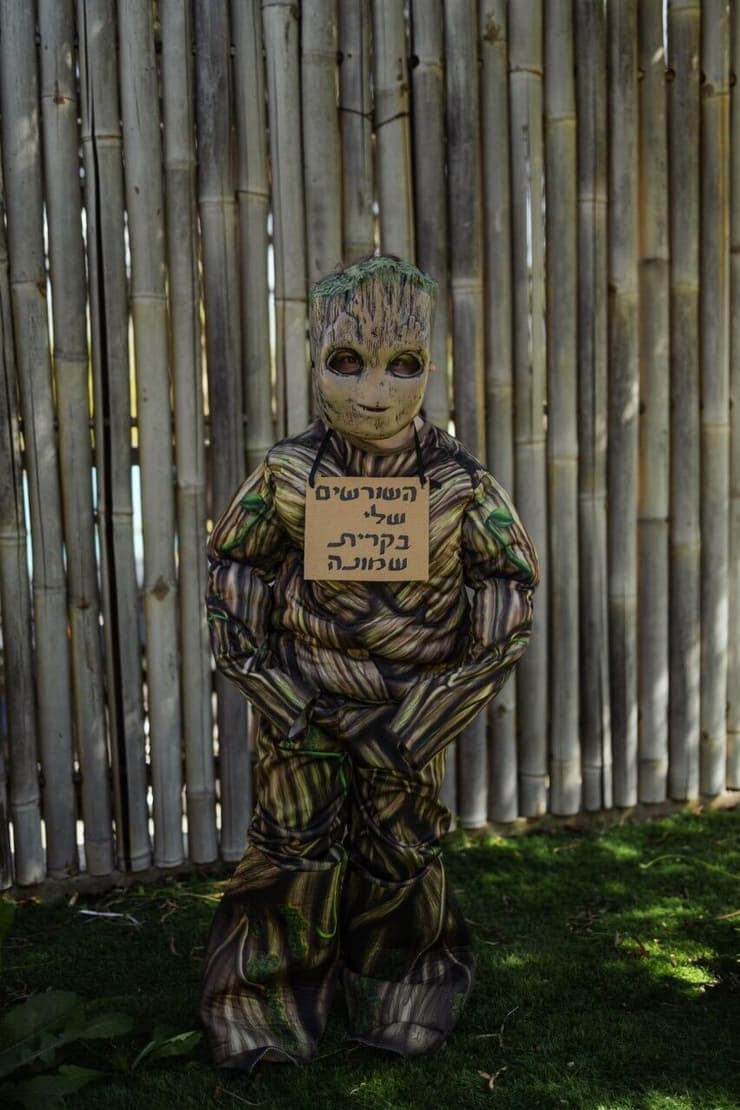 עמיחי אלפיה (7) מקריית שמונה 