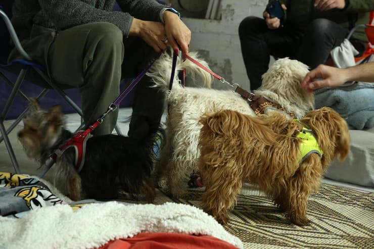 לא שוכחים את החברים הכי טובים