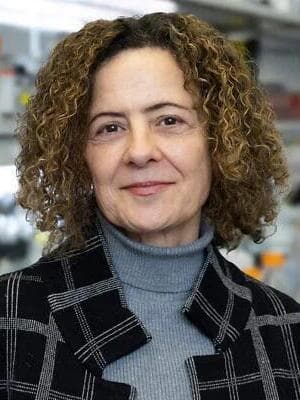 פרופ' אורלי לזרוב