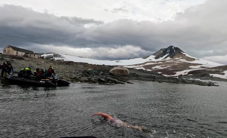 שני שוחה במים הקפואים של אנטארקטיקה שני שוחה במים הקפואים של אנטארקטיקה