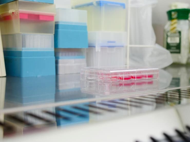 רקמה מודפסת עם תאים חיים שגדלים באנקובטור